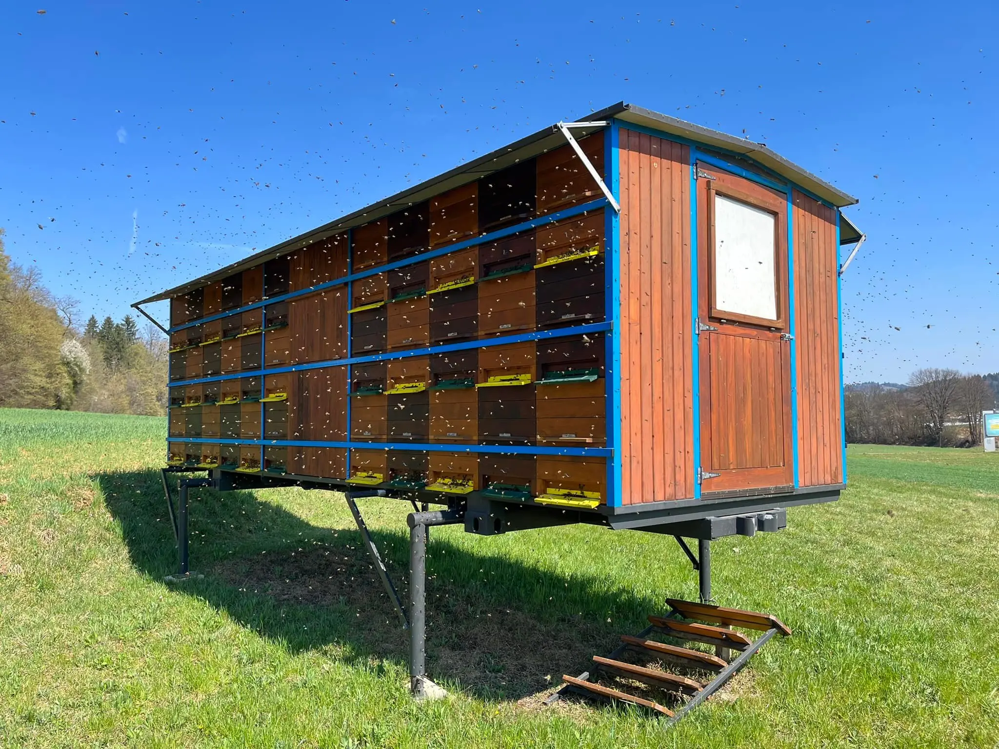 Prevozno čebelarstvo 16